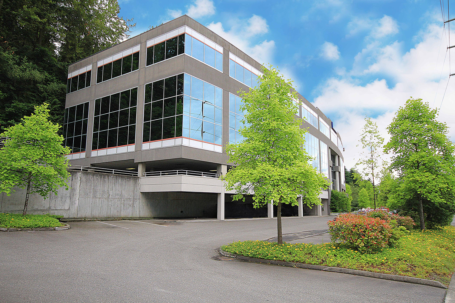 Modern building surrounded by greenery.
