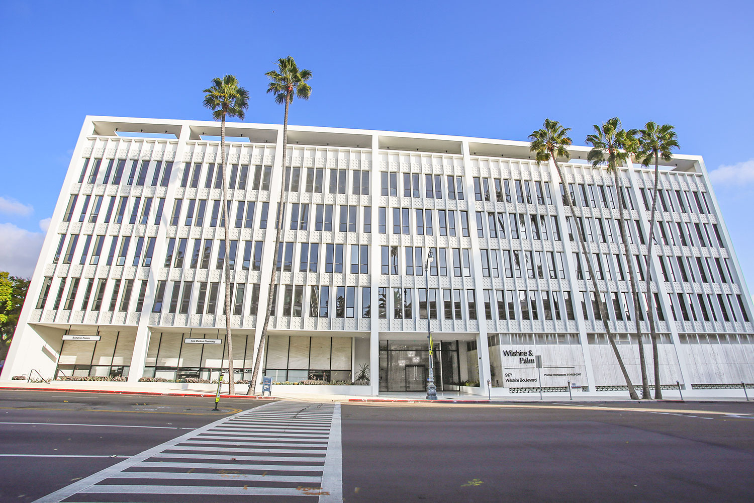 Modern building with palm trees