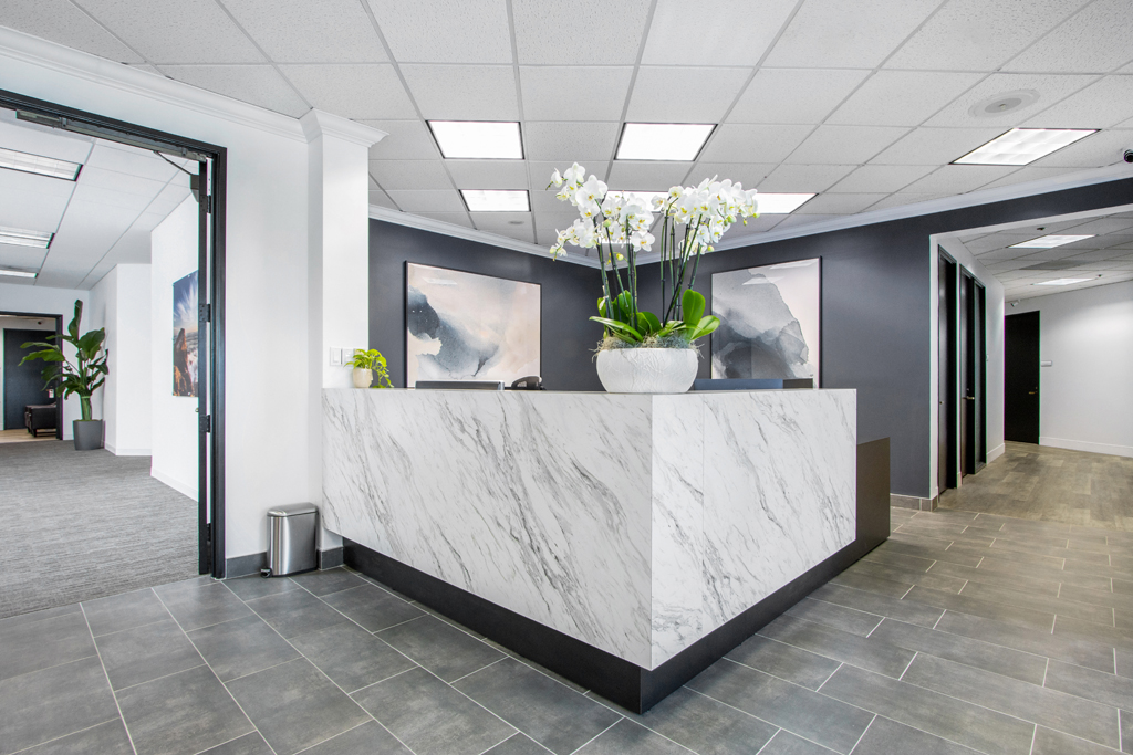 Modern office reception with plants