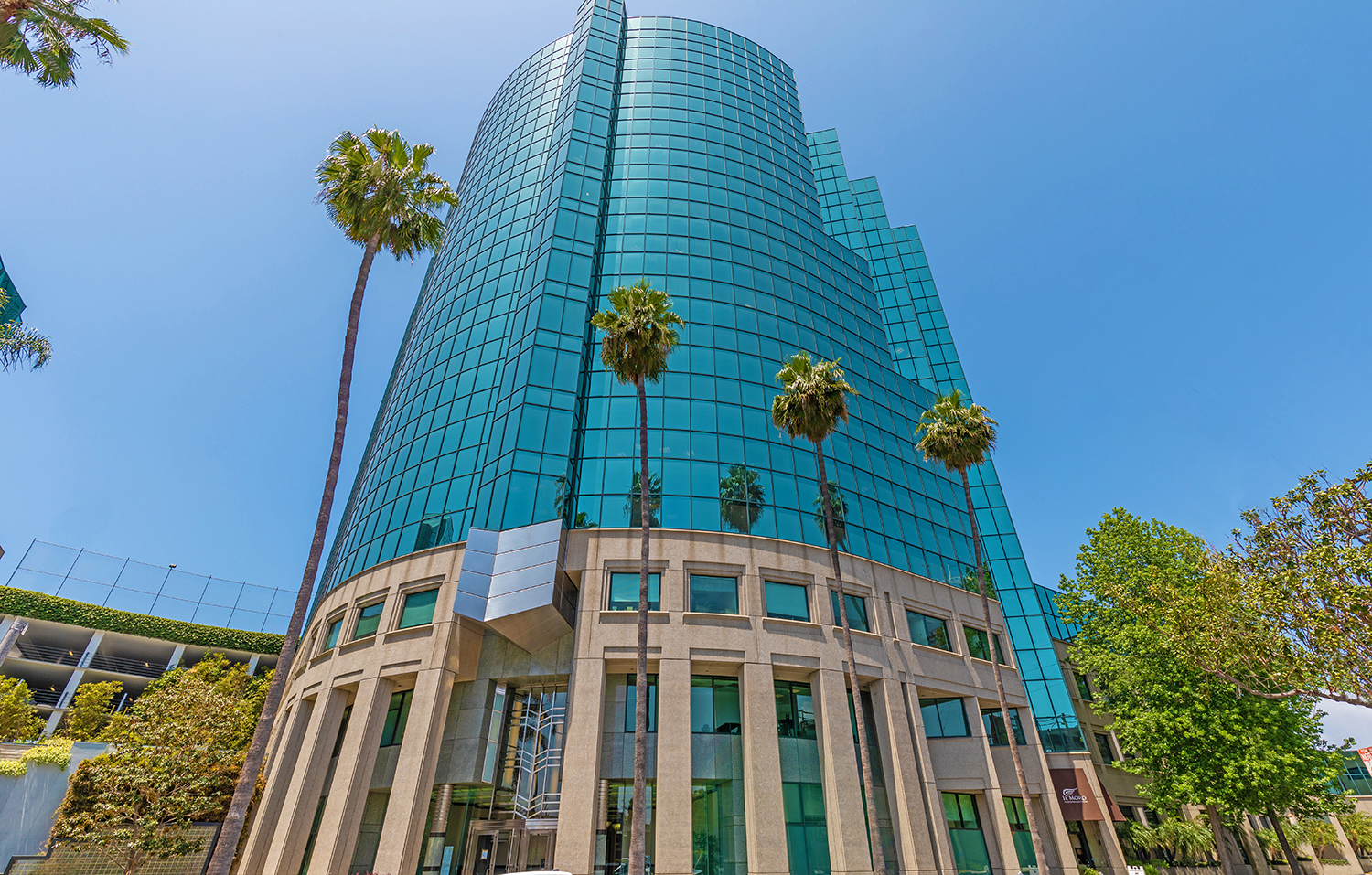 Modern glass building with palm trees