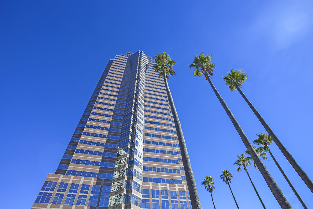 Tall building with palm trees