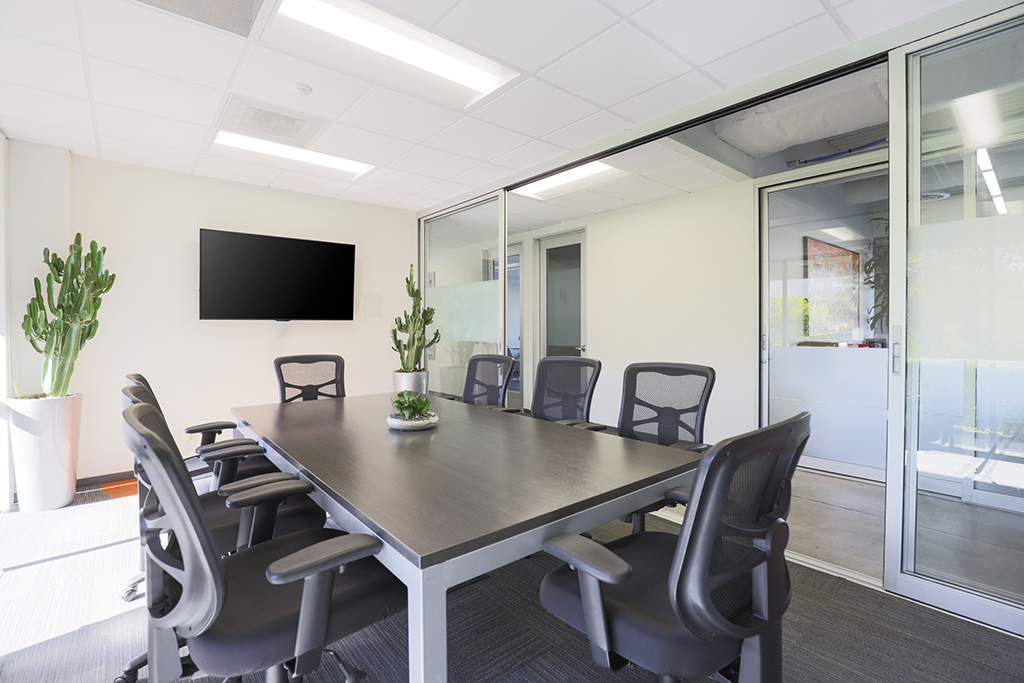 Modern conference room with plants
