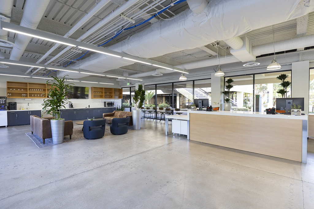 Modern open office reception area