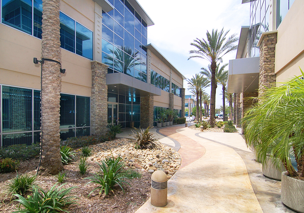 Modern courtyard with palm trees.