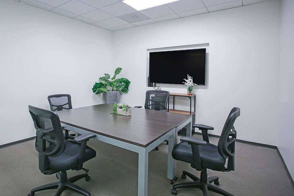 Modern conference room with plants