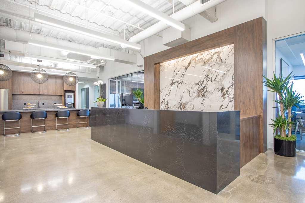 Modern reception area with elegant design