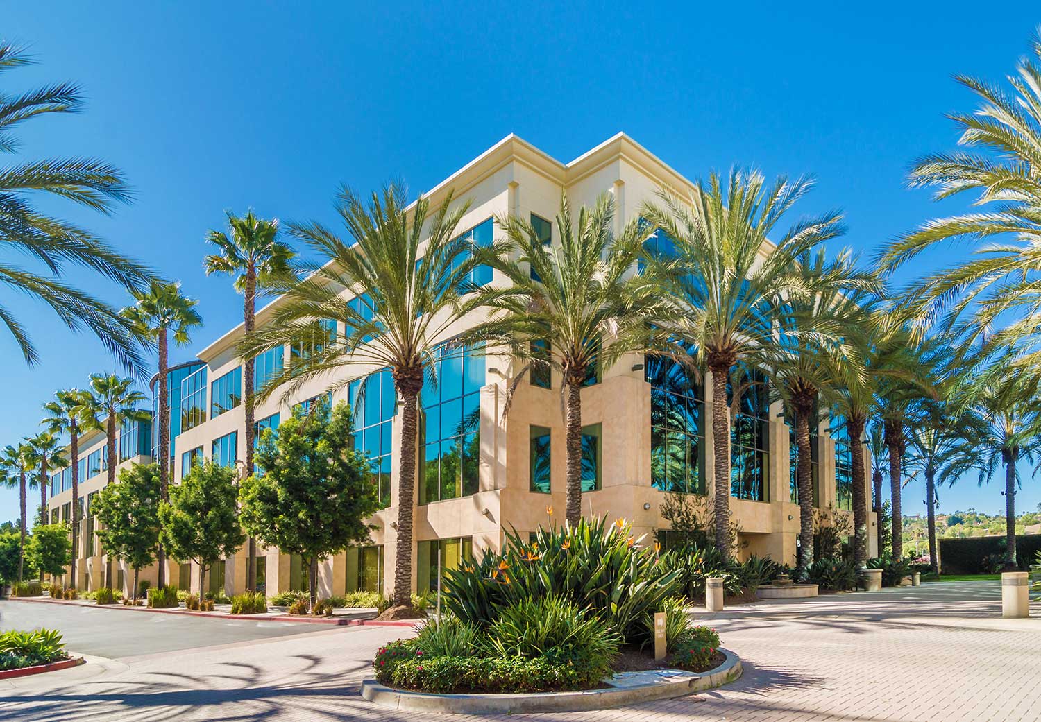 Modern building surrounded by palm trees