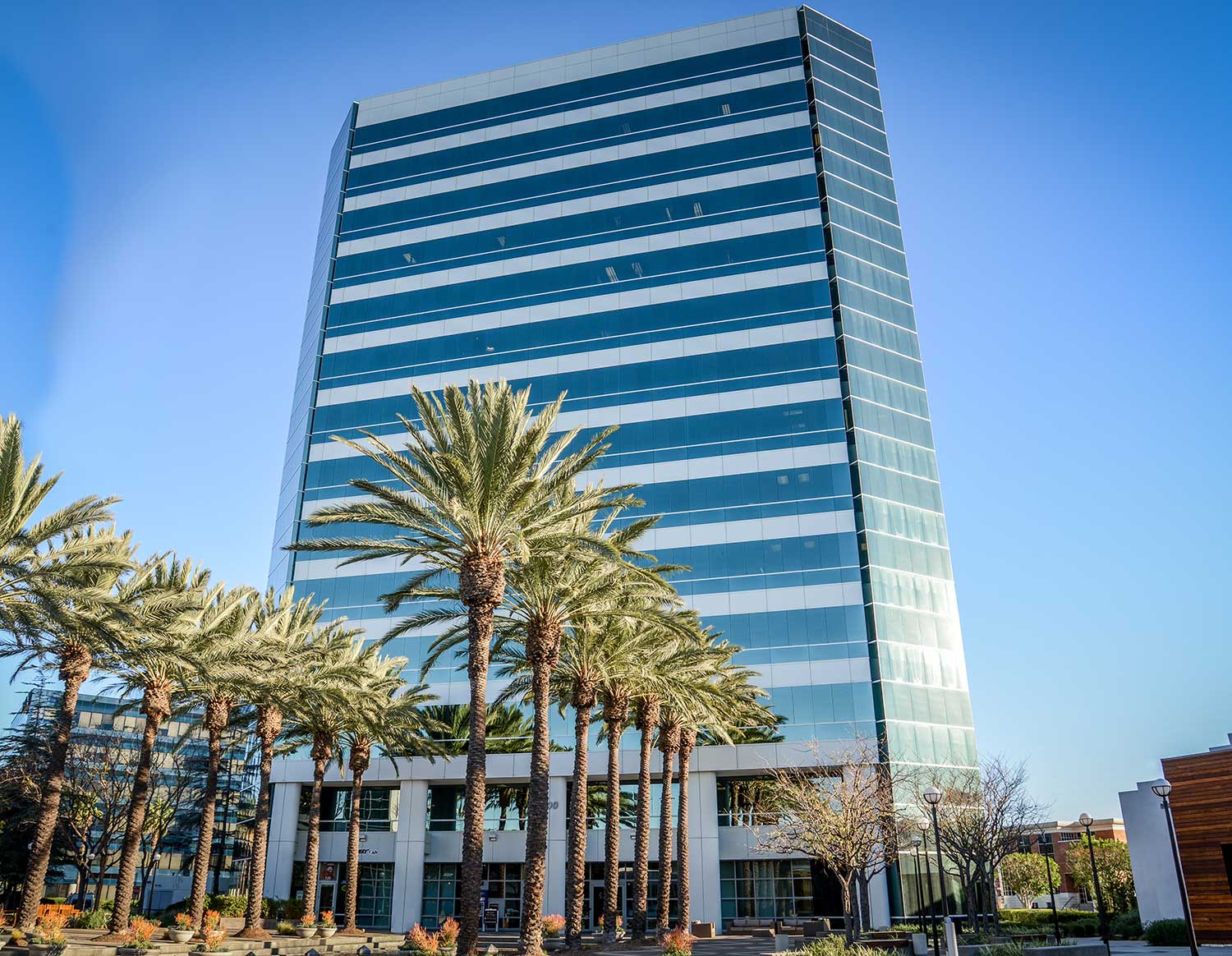 Modern office building with palm trees