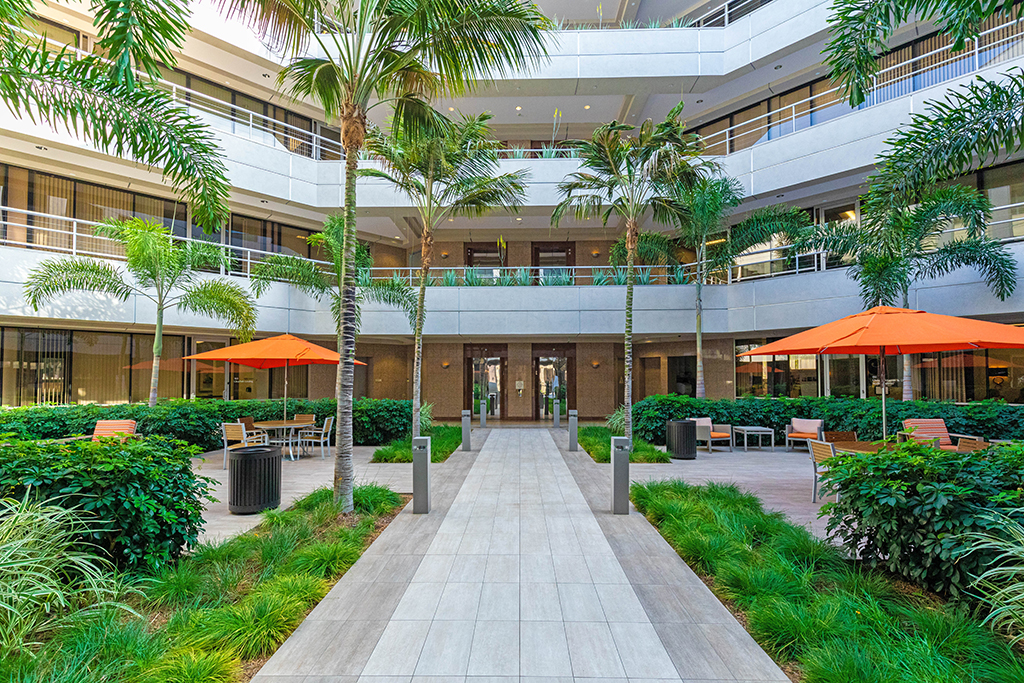 Modern courtyard with palm trees.
