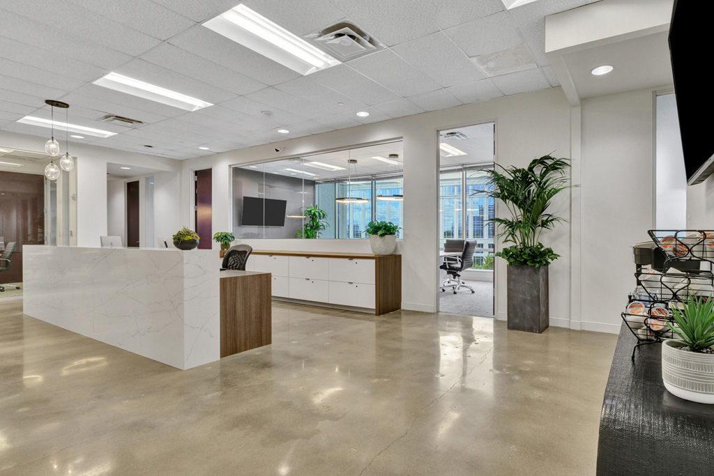 Modern office reception with plants