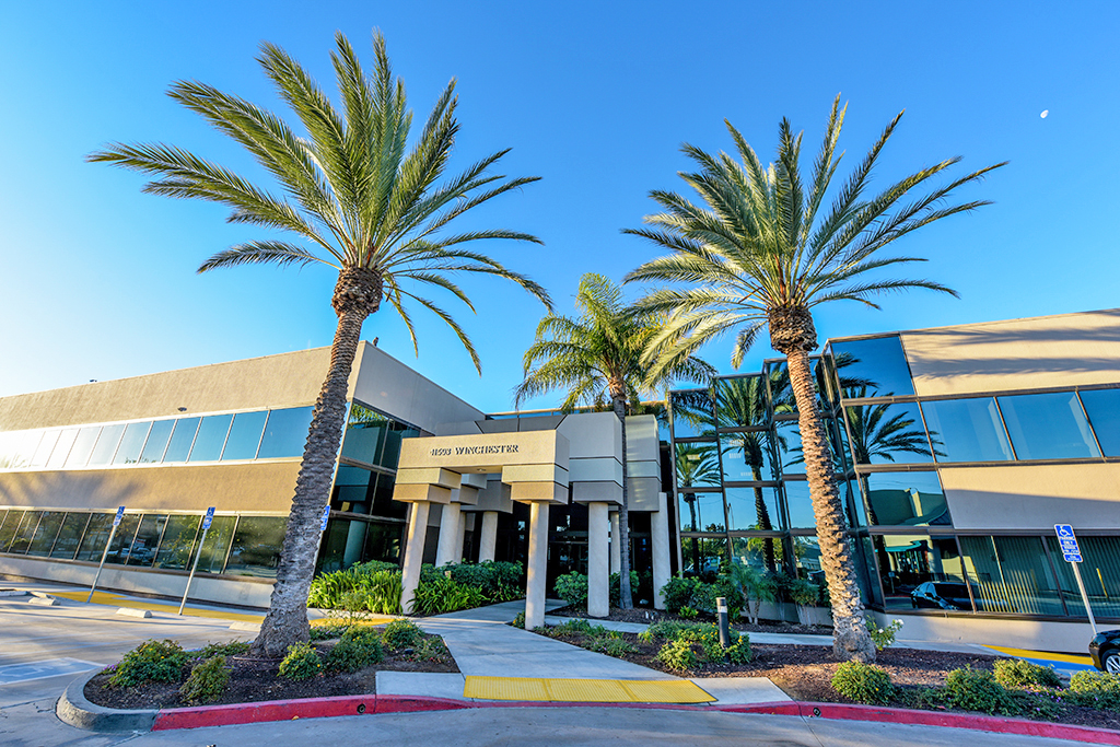 Modern building with palm trees