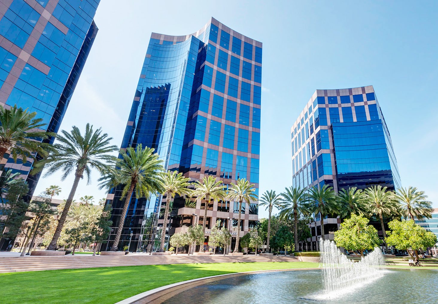 Modern buildings with palm trees.