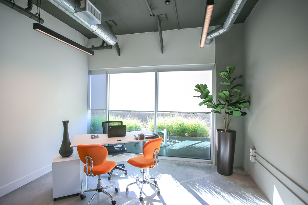 Modern office with bright natural light