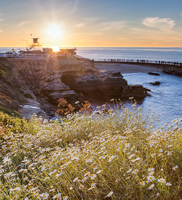 La Jolla Coastline