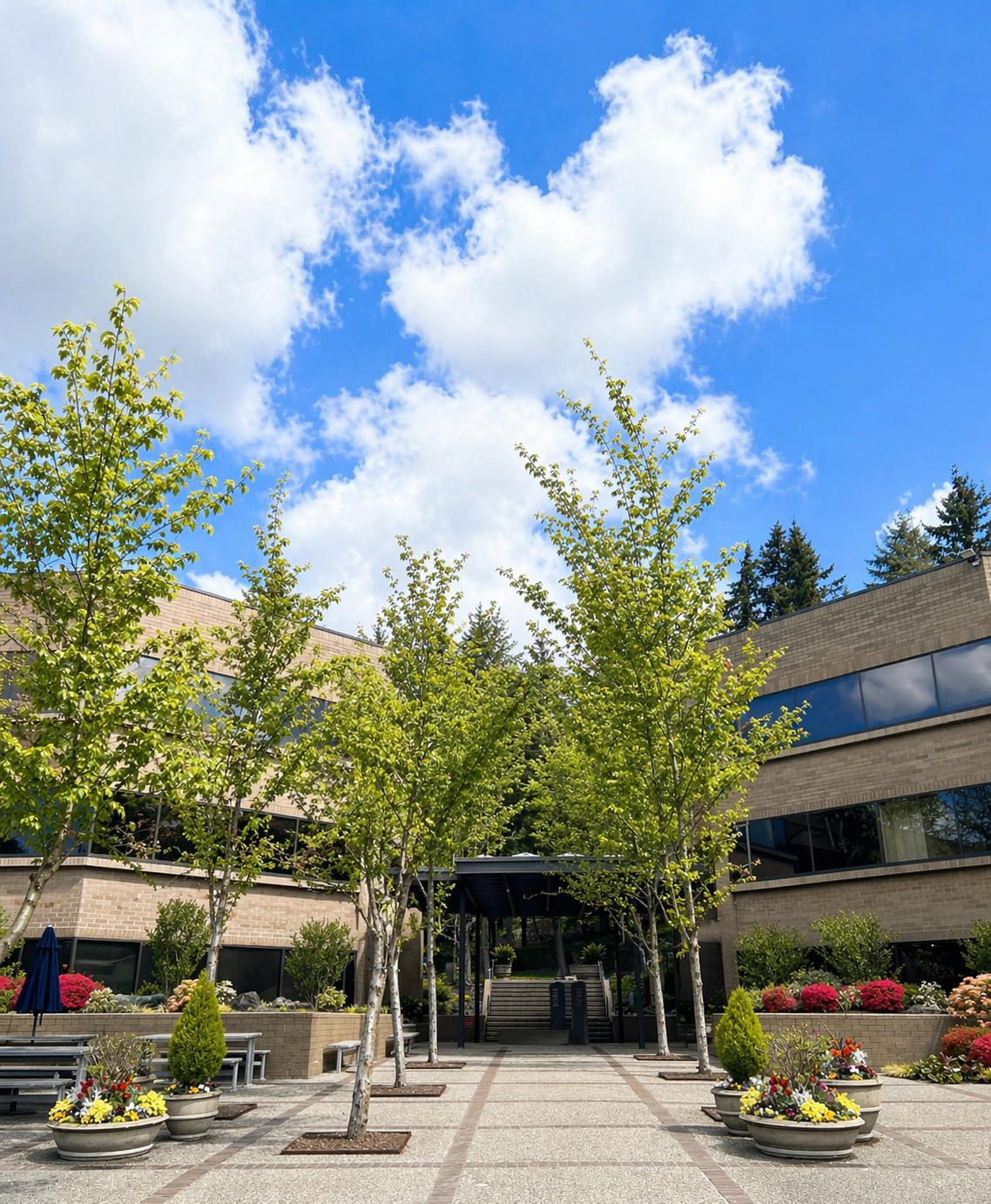 Building Entrance with cloudy blue skies