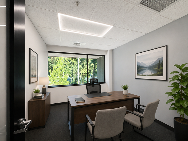 Window Office with artwork and plants and view of trees