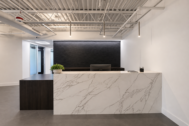 Reception desk with plant and blue wall as backdrop